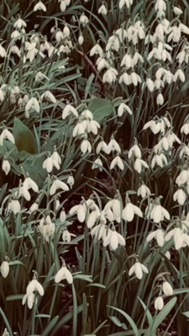 Instagram post from setinhand. This post is in position 13.