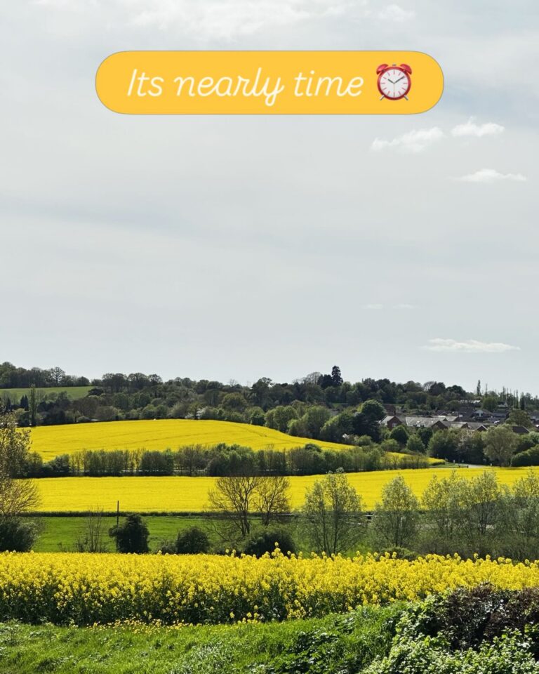 Instagram post from setinhand. This post is in position 1.