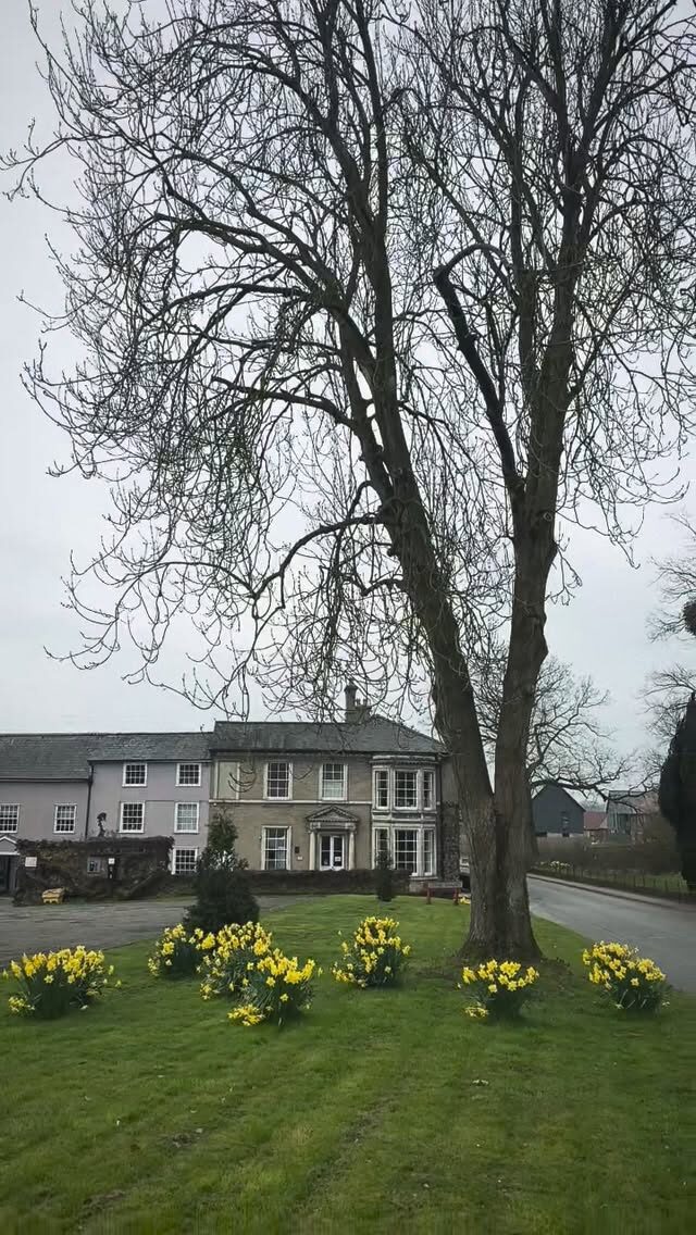 Instagram post from setinhand. This post is in position 3.