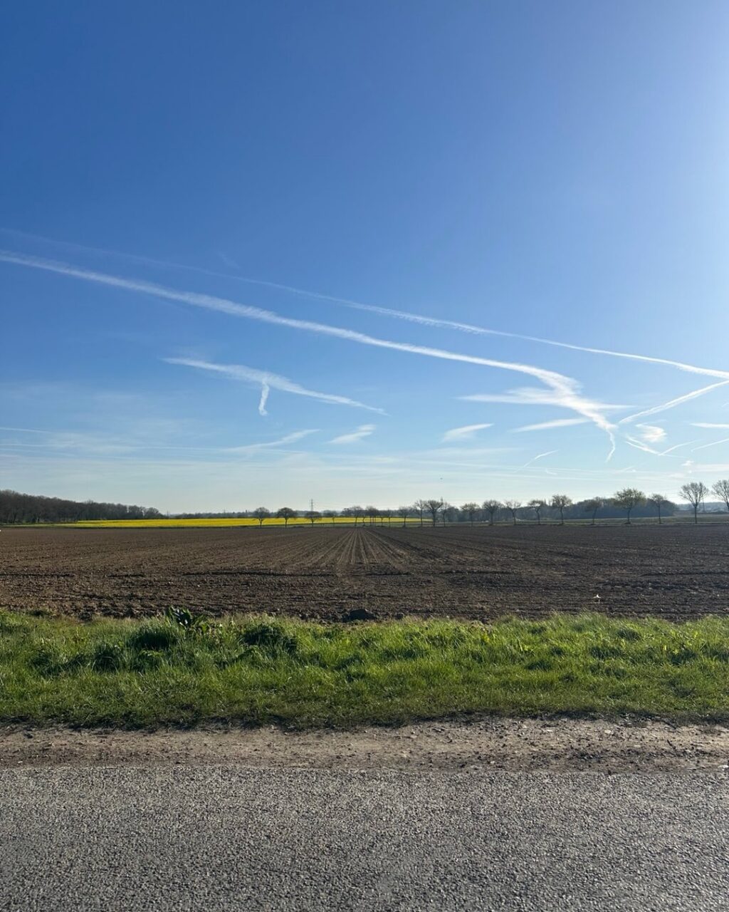 Instagram post from setinhand. This post is in position 1.