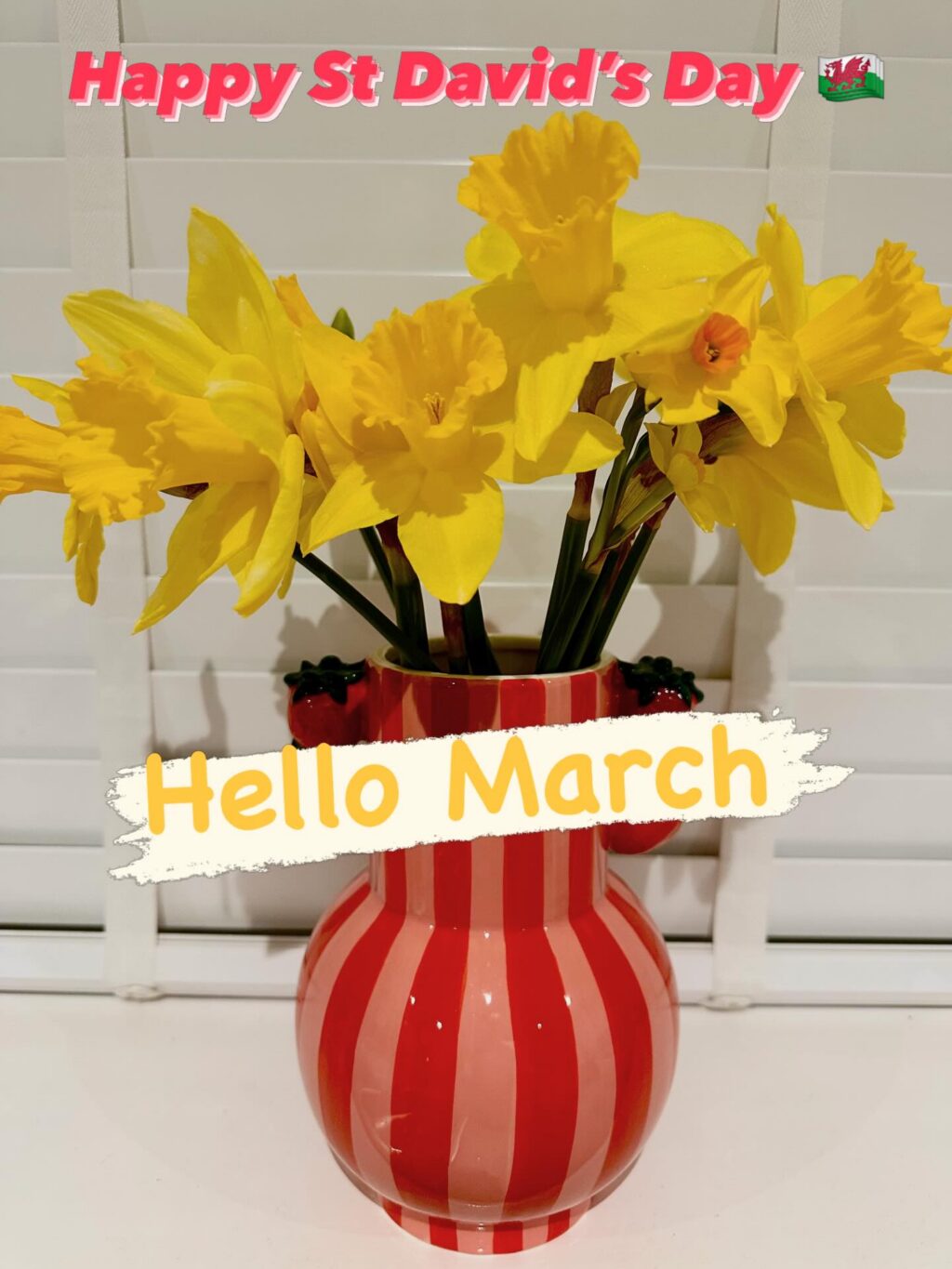 Instagram post from setinhand. This post is in position 8.