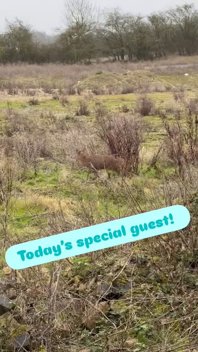 Instagram post from setinhand. This post is in position 10.